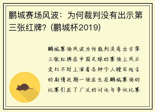 鹏城赛场风波：为何裁判没有出示第三张红牌？(鹏城杯2019)