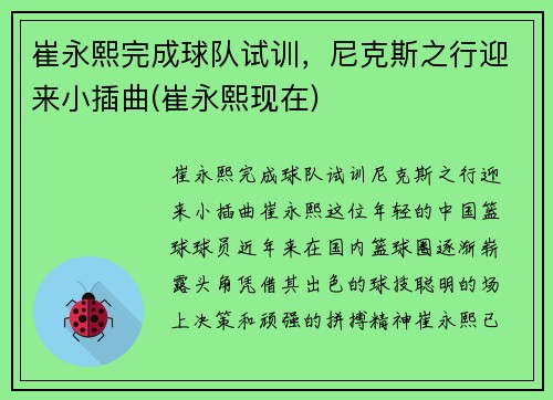 崔永熙完成球队试训，尼克斯之行迎来小插曲(崔永熙现在)