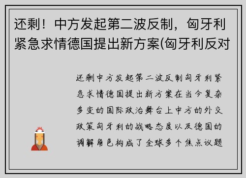 还剩！中方发起第二波反制，匈牙利紧急求情德国提出新方案(匈牙利反对派称若当选将终止中资计划)